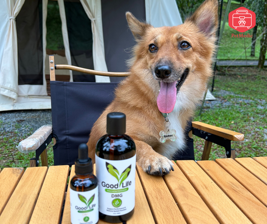 How does DMG support pet's overall health?