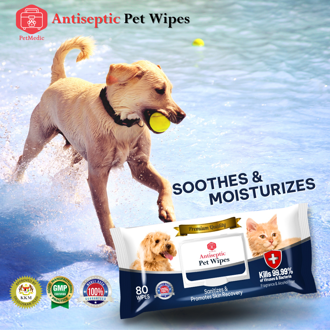 Travel-Size Antiseptic Pet Wipes (10 Wipes/pack)