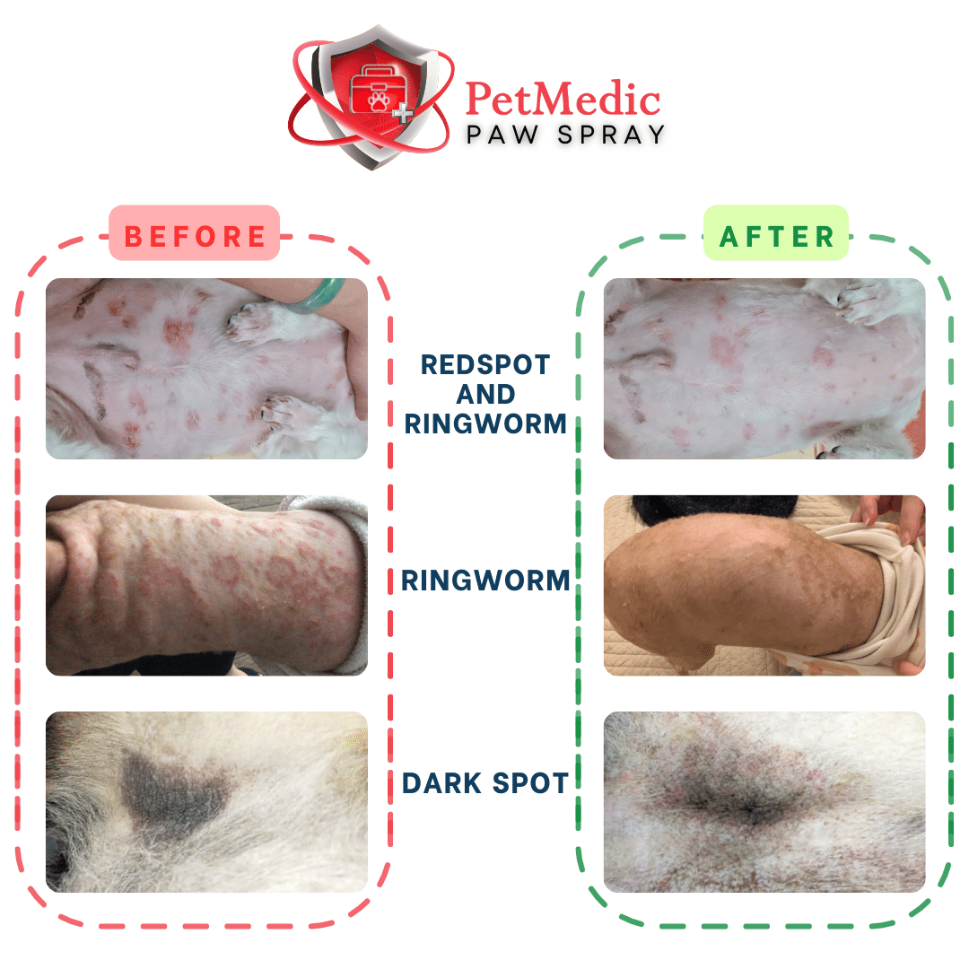 PetMedic Paw Spray Pet Antiseptic Sanitizer 500ml