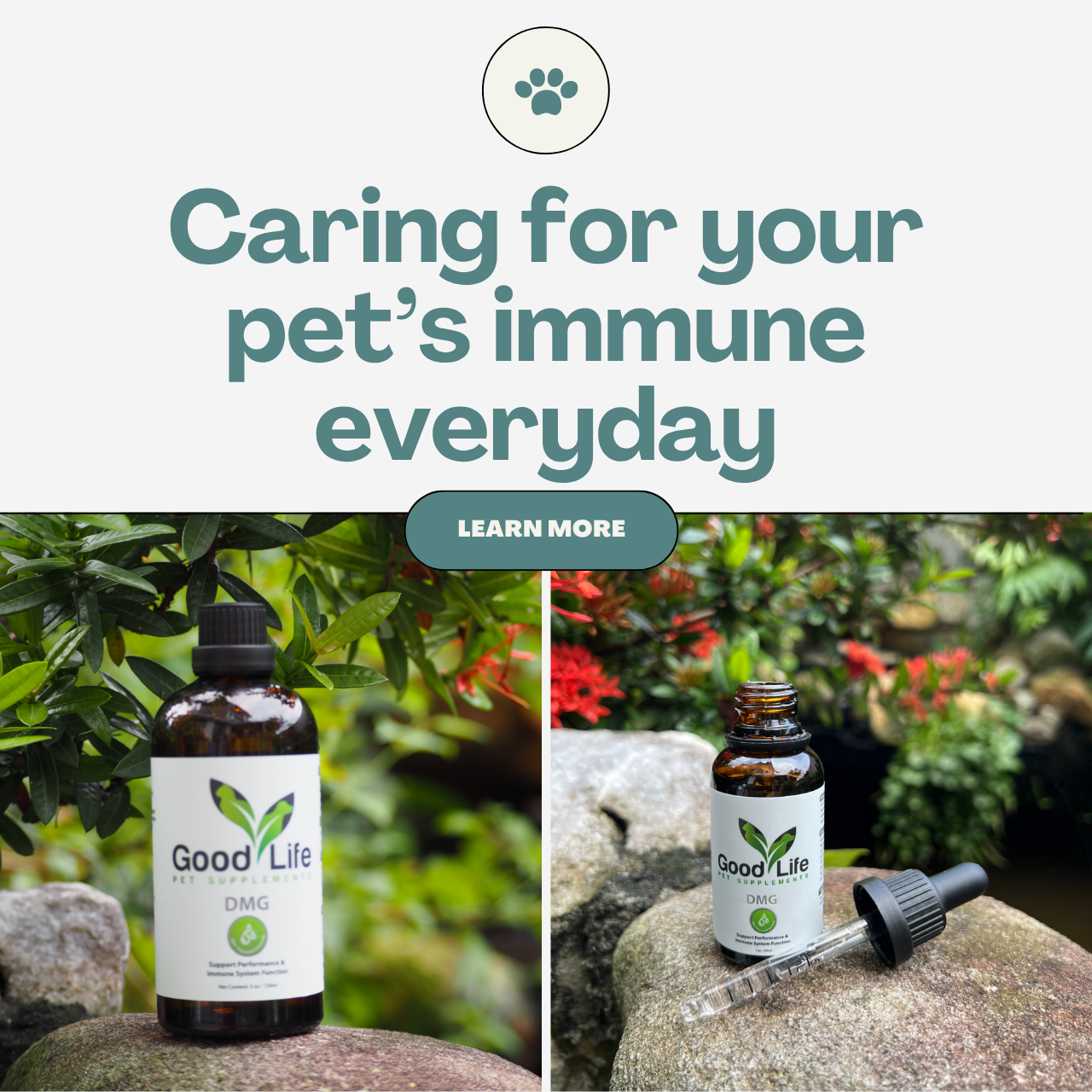 GoodLife DMG Pet Immune Booster