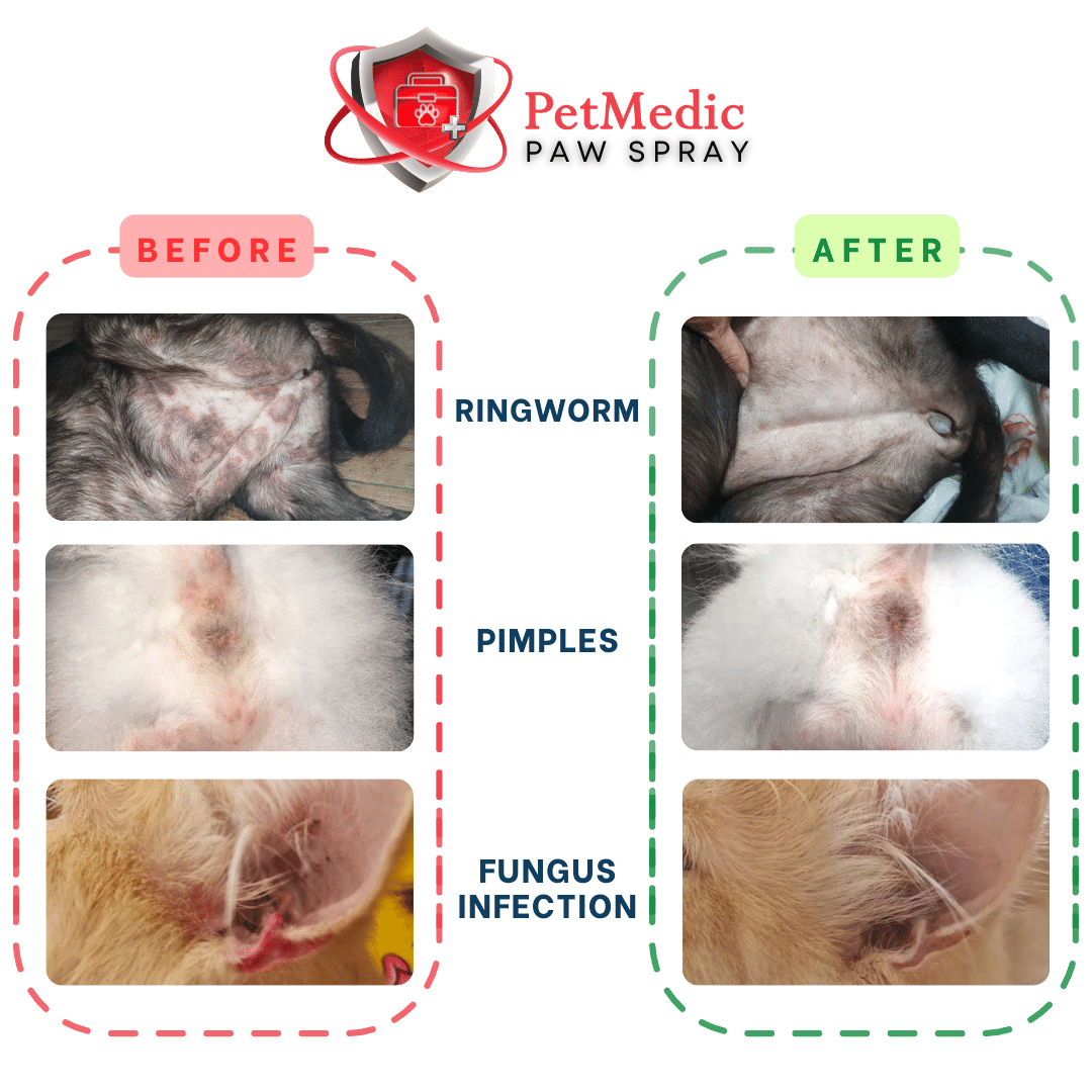 PetMedic Paw Spray Pet Antiseptic Sanitizer 50ml