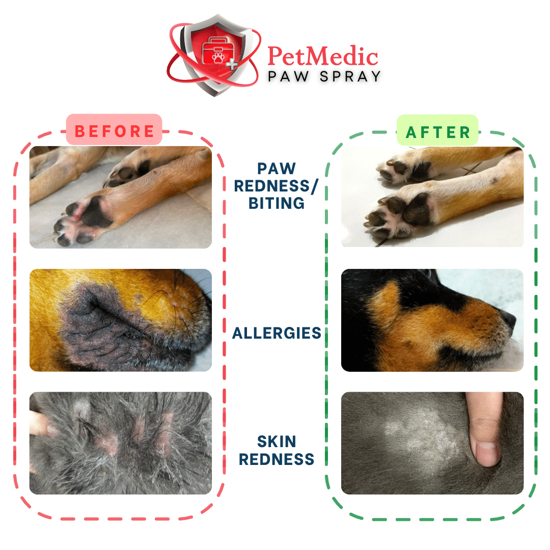 PetMedic Paw Spray Pet Antiseptic Sanitizer 50ml