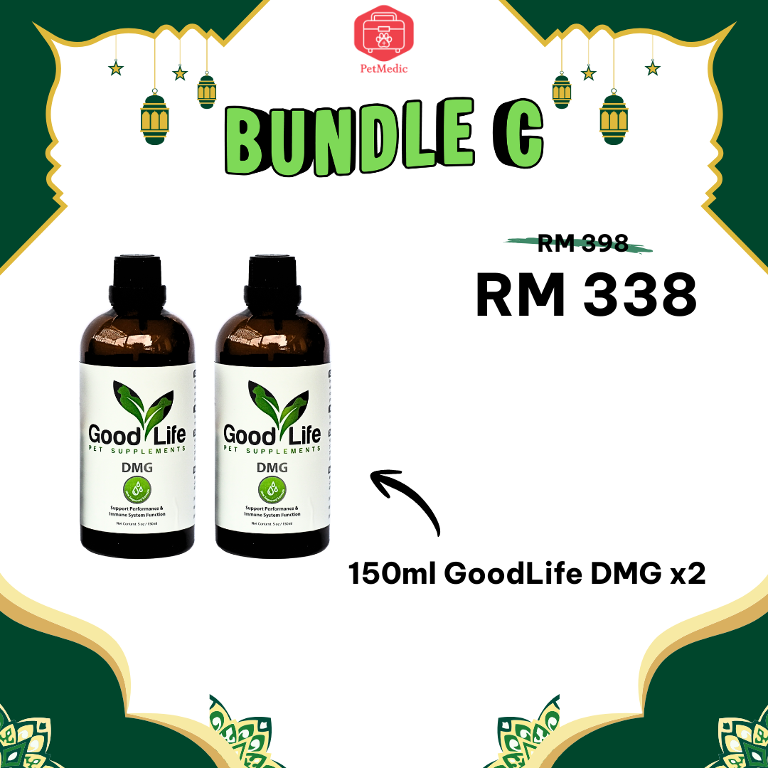 Hari Raya Special Bundle Series