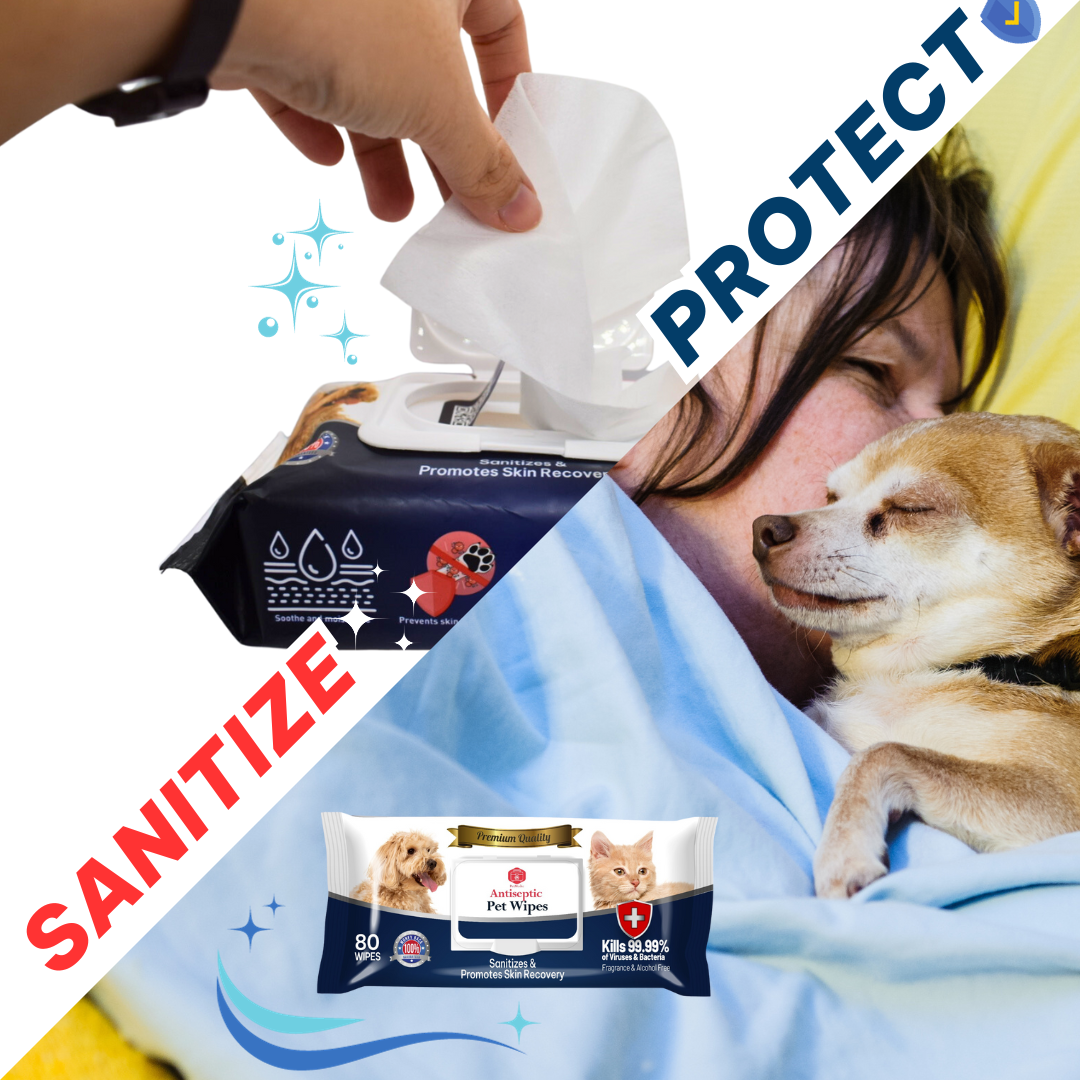 Travel-Size Antiseptic Pet Wipes (10 Wipes/pack)