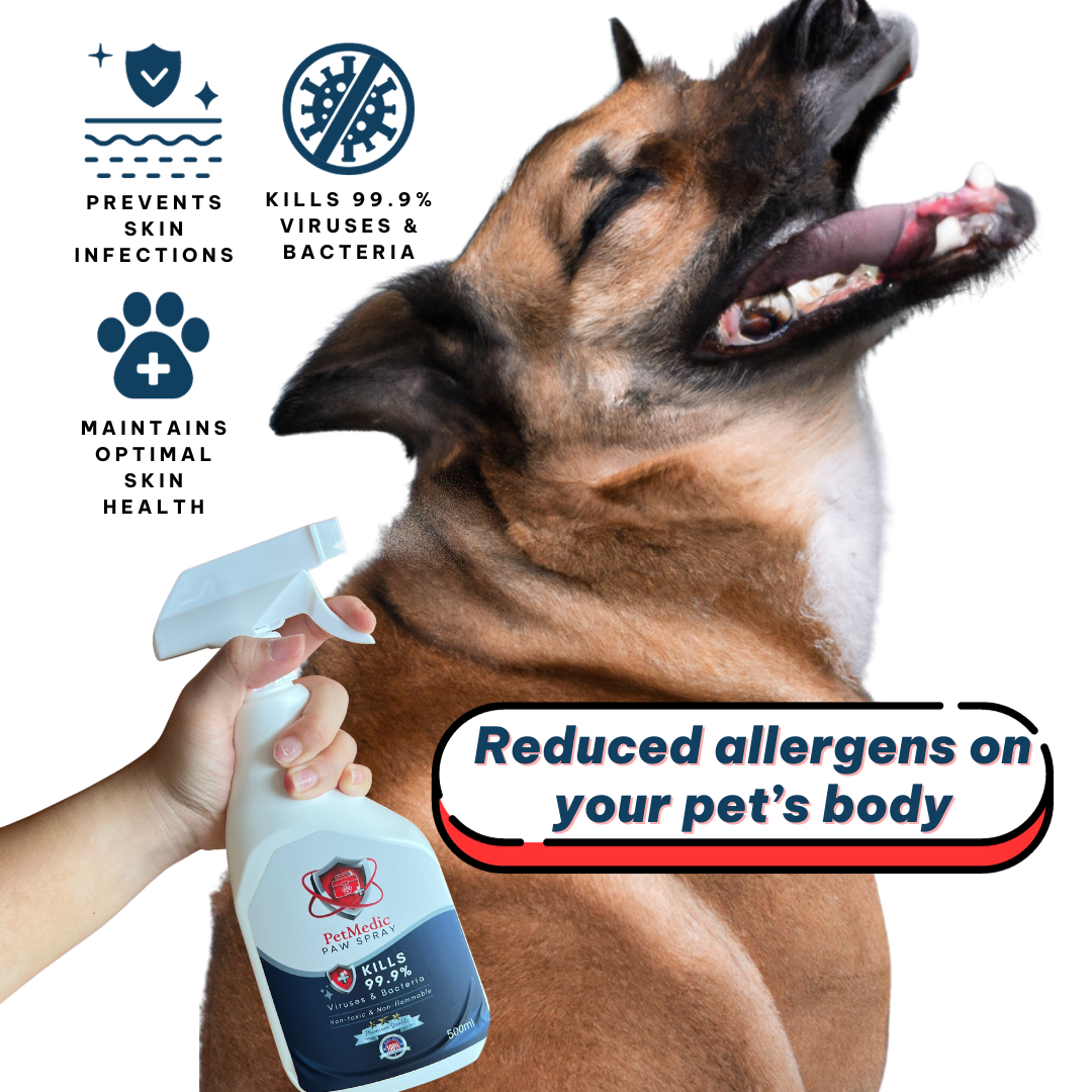 PetMedic Paw Spray Pet Antiseptic Sanitizer 500ml
