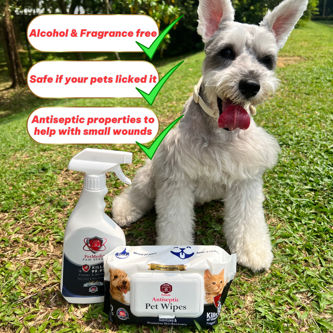 PetMedic Paw Spray Pet Antiseptic Sanitizer 500ml