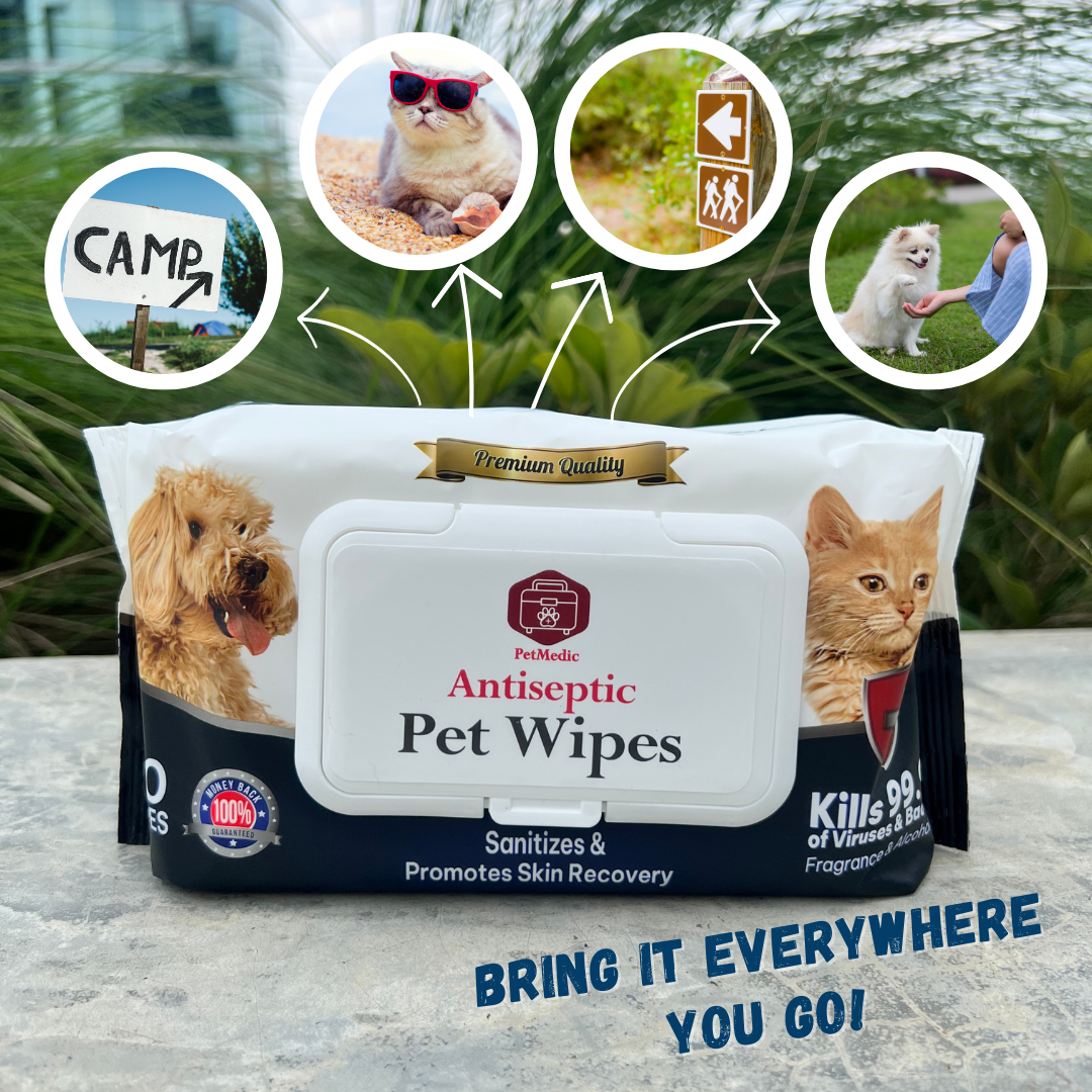 Travel-Size Antiseptic Pet Wipes (10 Wipes/pack)