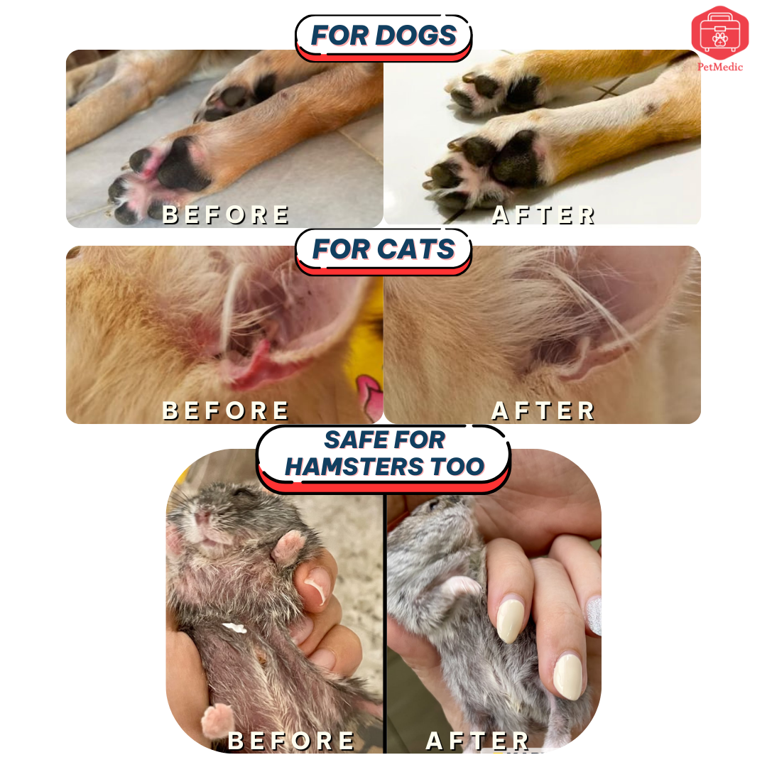 PetMedic Paw Spray Pet Antiseptic Sanitizer 50ml