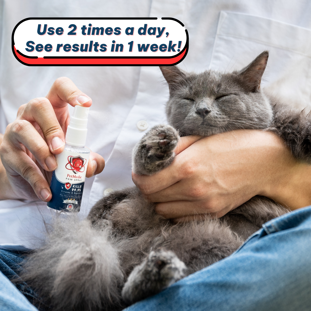 PetMedic Paw Spray Pet Antiseptic Sanitizer 50ml