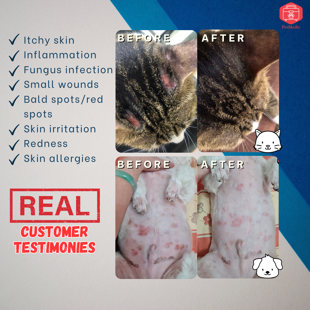 Travel-Size Antiseptic Pet Wipes (10 Wipes/pack)