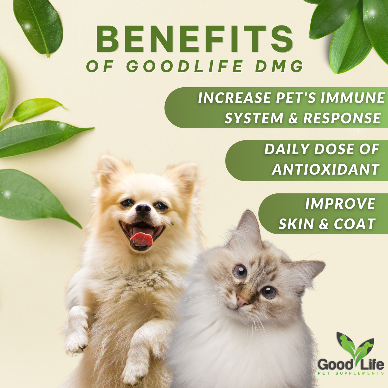 GoodLife DMG Pet Immune Booster