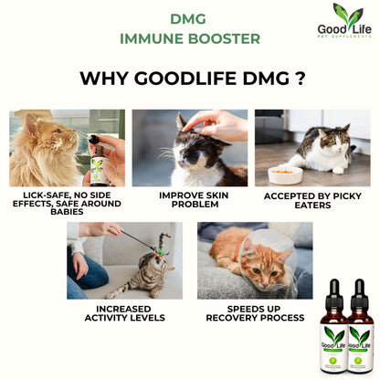 GoodLife DMG Pet Immune Booster