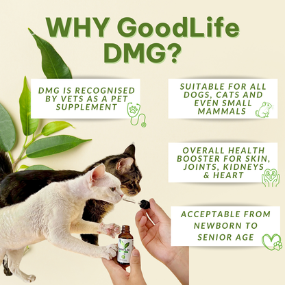 GoodLife DMG Pet Immune Booster