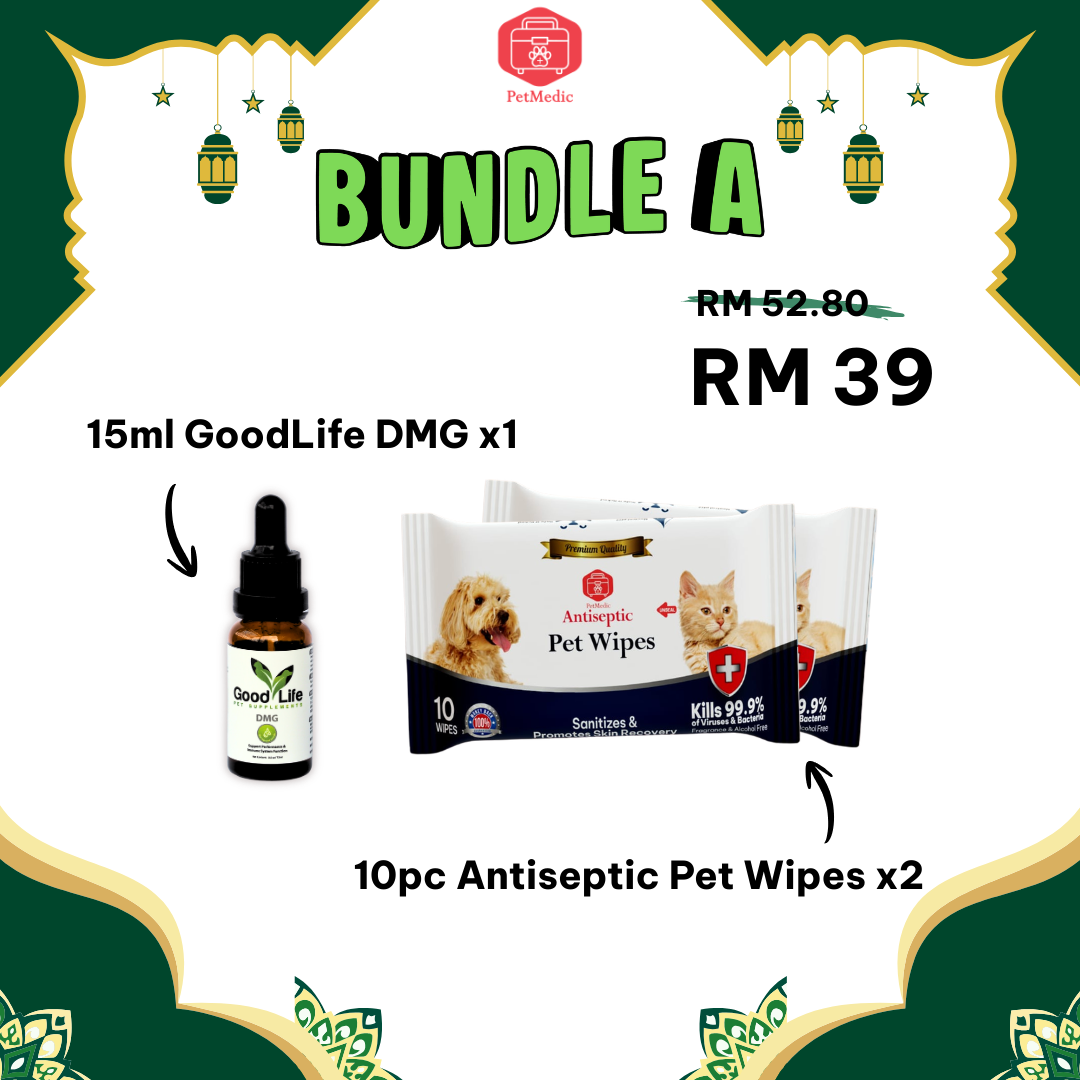 Hari Raya Special Bundle Series