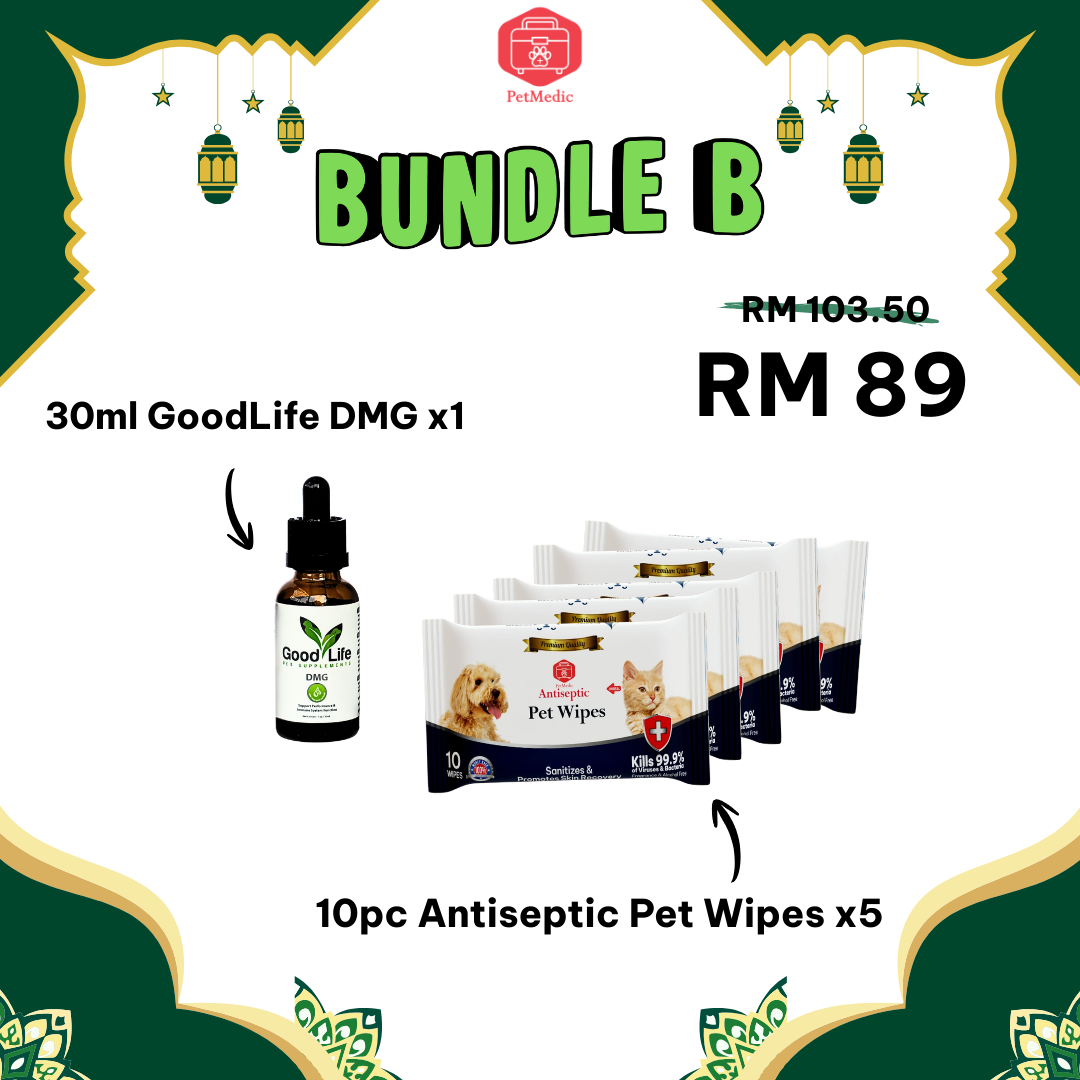 Hari Raya Special Bundle Series