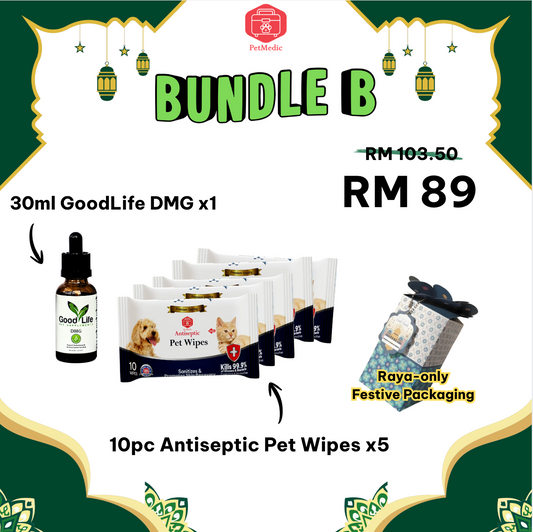 Hari Raya Special Bundle Series
